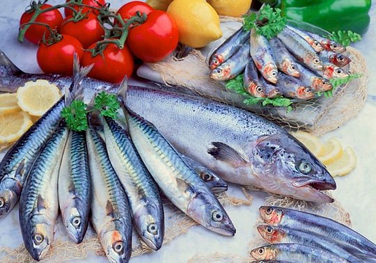 Principales Patógenos y Contaminantes en los Productos de la Pesca