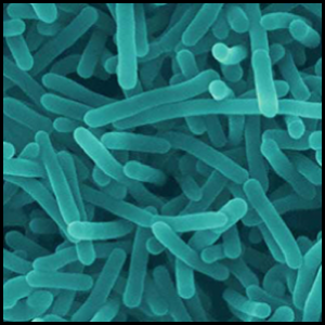 Listeria en un microscopio